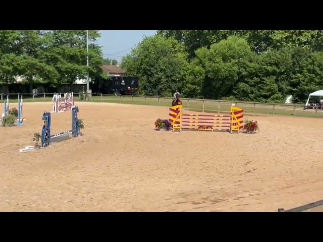 CHEVAL DE CSO 15 ANS