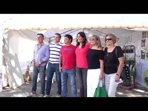 00007-five-o clock-lc