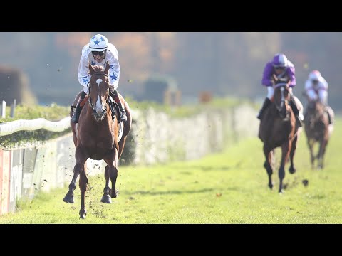 Krefeld: Großer Preis der SWK AG - Herzog von Ratibor-Rennen 2023 Sieger: Wonderful Boy