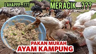 Download lagu How to Make Cheap, Healthy Chicken Feed for Big Profits from Free-Range Chickens mp3