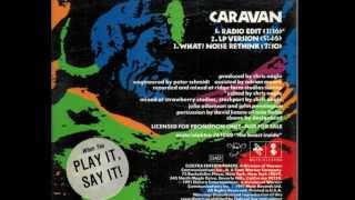 Inspiral Carpets - Caravan (Promo Radio Edit)