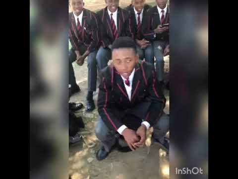 Dale College Gwijo Compilation