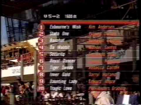 GALOPPSPELAREN - STOCKHOLM CUP ÅR 2000 sändningen på TV4 del 1