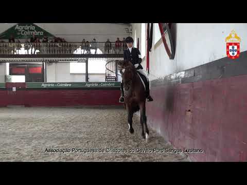 211023 6 Mistral - Aprovação de Garanhões