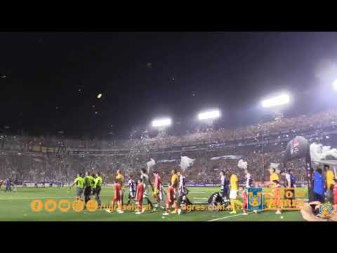 "Recibimiento histórico a TIGRES UANL" Barra: Libres y Lokos &bull; Club: Tigres