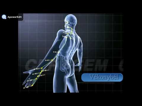 Magas vérnyomás kezelése - KardioKözpont