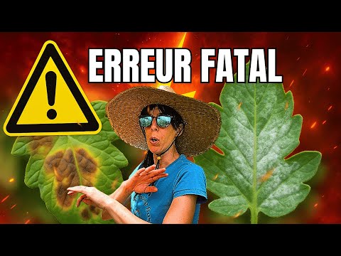 Mildew & Powdery Mildew: The Fatal Mistake 90% of Gardeners Make!