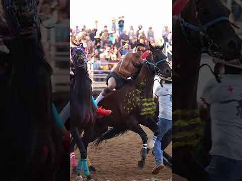 The WYO rodeo might be the wildest and most western I’ve ever had the pleasure of attending