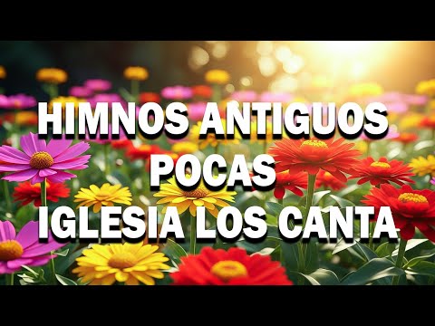 Alabanza Melodies and Morada de Calma