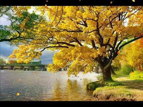 Hinos CCB - Lindos Hinos Cantados - "Eu desejo, Senhor, só em Ti descansar