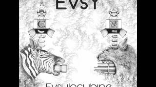 EvsY -  Avaruusmetro