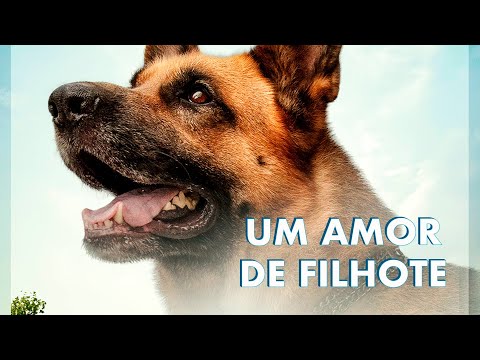 Trailer de Um Amor de Filhote (2018)