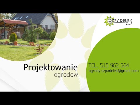 Zobacz filmy, Szpadelek Krzysztof Piotrowski, Szczecin