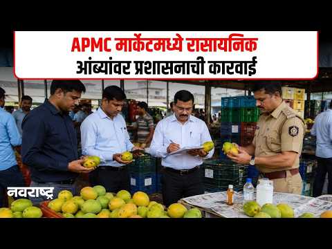 Navi Mumbai APMC: रासायनिक आंब्यांविरोधात प्रशासनाचा बडगा; व्यापाऱ्यांमध्ये खळबळ