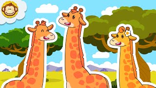 Download lagu Lagu Anak Anak | Lagu Hewan | Jerapah 🦒 | Mengenal Binatang | BaLiTa mp3