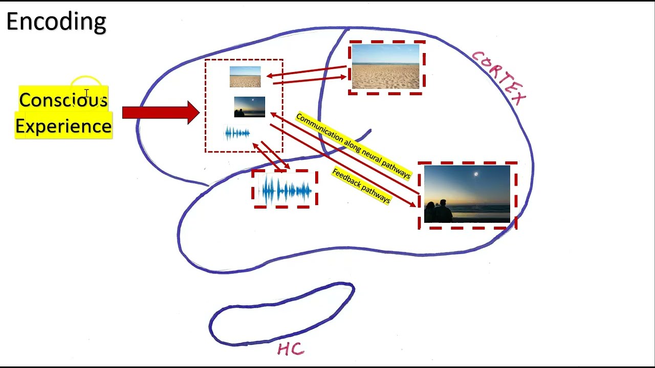 Making an episodic memory of a solar eclipse... part 2... encoding and storage