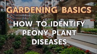 How to Identify Peony Plant Diseases