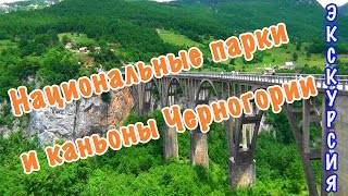 Рыбалка в черногории на реке тара