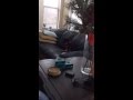 Zorro S Sing Along