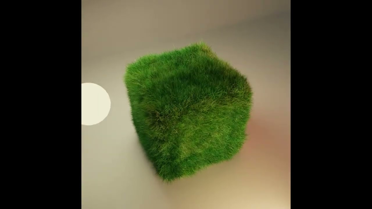 MOTION PRACTICE