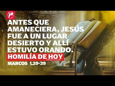 Lecturas y homilía - 14 de enero, 2026 - P. Ben Cameron