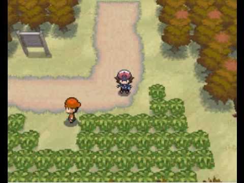 Pokemon Black and White Randomizer AR Codes