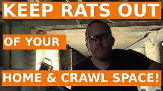 How to Keep Rats Out of Your House & Crawl Space