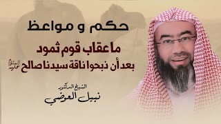 صورة حكم و مواعظ | ما عقاب قوم ثمود بعد أن ذبحوا سيدنا صالح عليه السلام ؟ | نبيل العوضي