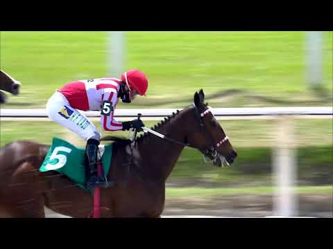 11/10/2020 – Hipodromo Maroñas – Carr 2 - ALMIRANTE (2017)