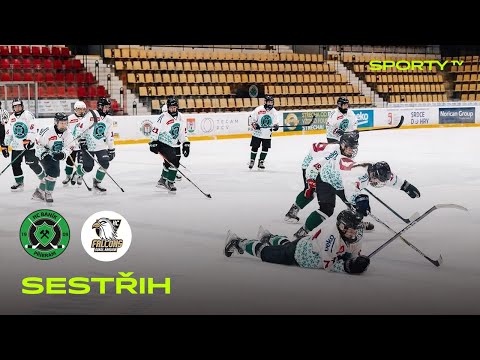 HC Příbram vs. HC Falcons Sokol Karviná 9:1 | Extraliga žen | finále | 1. zápas | SESTŘIH