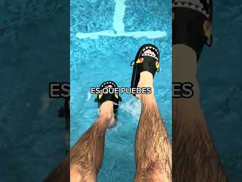 ¡MITOS ATERRADORES de las Sharklas 2.0! 😭🦈| Solo en sharklas.com link en bio👉