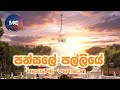 Pansale Palliye පන්සලේ පල්ලියේ Edward Jayakodey Charitha Priyadarshani Reg