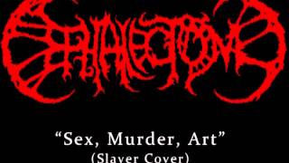 Cephalectomy - Sex, Murder, Art (Slayer Cover)