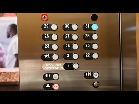 ThyssenKrupp Traction High-Rise Elevators - Hyatt Regency Orlando (Tower 2) - Orlando, FL