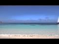 Jimmy Buffett - Mañana Lava Lamp music video