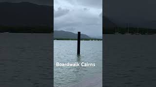 Beautiful Cairns boardwalk #crownprincess #cairns #cruisetour