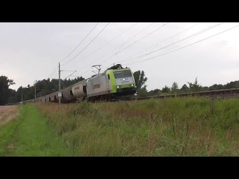 TDX33 Da Müssen wir mal hin - Mit EFN in Müssen [15.08.2015]