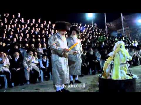 Lelover Rebbe and Chassidim Spend Shabbos Beha'alosecha 5775 In Meron