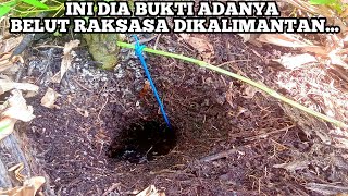 Download lagu Rejeki..! Umpanku Jatuh Tepat Di Goa Terdalam Sarangnya RAJA BELUT BERUKURAN MONSTER! mp3 Download lagu Rejeki..! Umpanku Jatuh Tepat Di Goa Terdalam Sarangnya RAJA BELUT BERUKURAN MONSTER! mp3