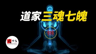 [問卦] 掃墓是不是個很矛盾的行為