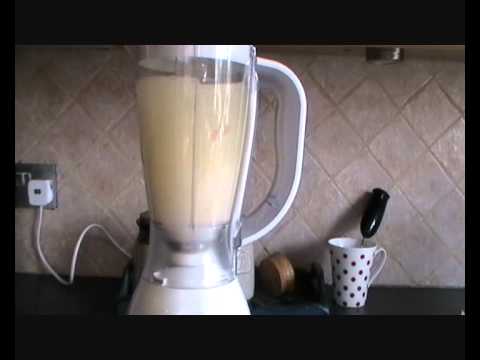 fish in a blender