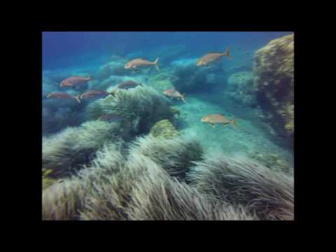 Italien / Ustica 2016