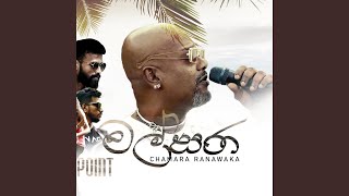 Download lagu Malsara mp3