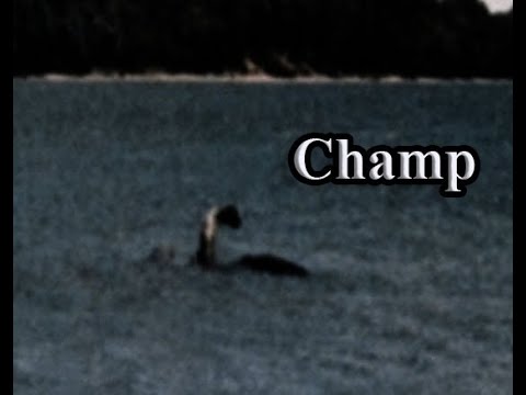 , title : 'Champ'