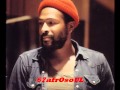 ✿ MARVIN GAYE - Rockin' After Midnight ✿