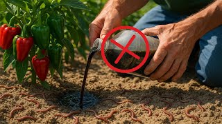 Stop Adding THIS to Your Soil — It’s Chasing the Worms Away