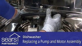 Replacing the Pump and Motor Assembly on a Dishwasher