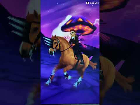 Schaffen wir die 90 heute noch #starstable #sso #horse