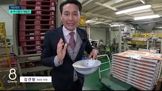 [G1뉴스]쌀 부산물의 재발견 '정신건강 개선 효과' 확인