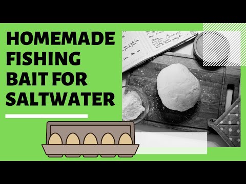 Homemade Fishing Bait: The Best for Saltwater Fishing